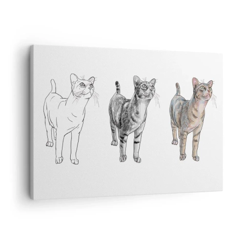 Schilderen op canvas - De evolutie van een kattentekening van schets tot gekleurde vorm - 70x50cm - Les tekenen - Moderne wanddecoratie voor woonkamer en slaapkamer ARTTOR