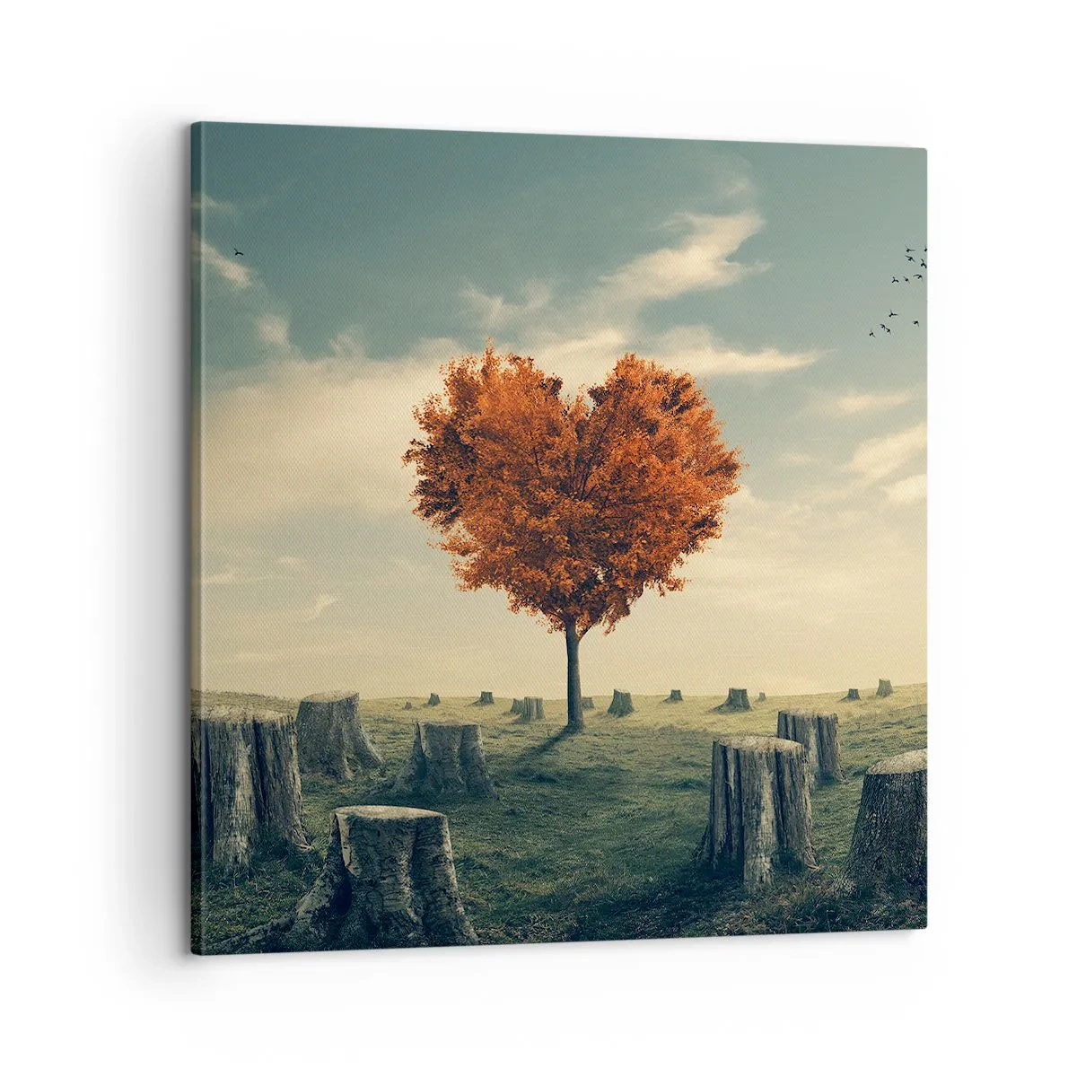 Schilderen op canvas - Er is nog steeds hoop - 60x60 cm