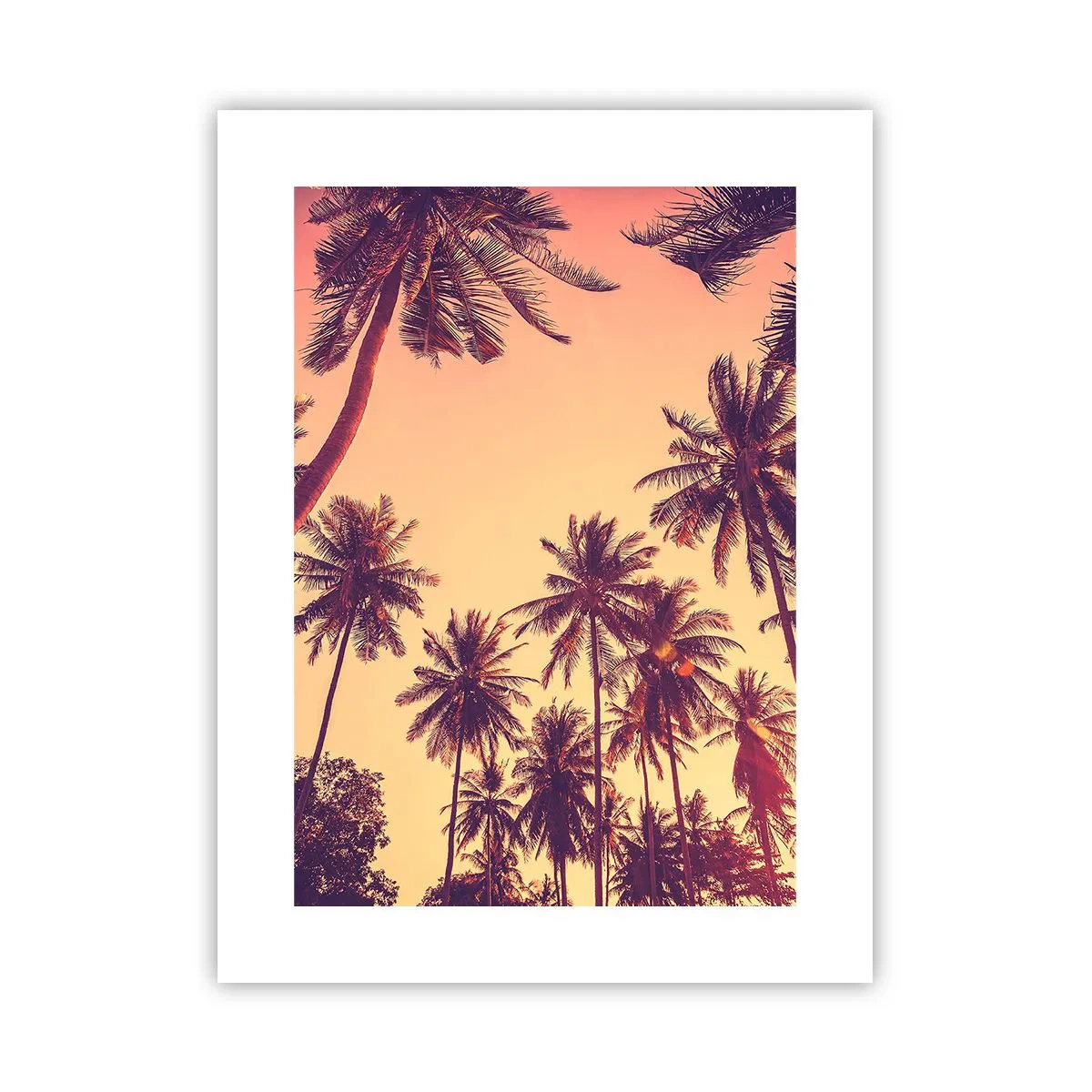 Poster - Een tropische variant - 30x40 cm