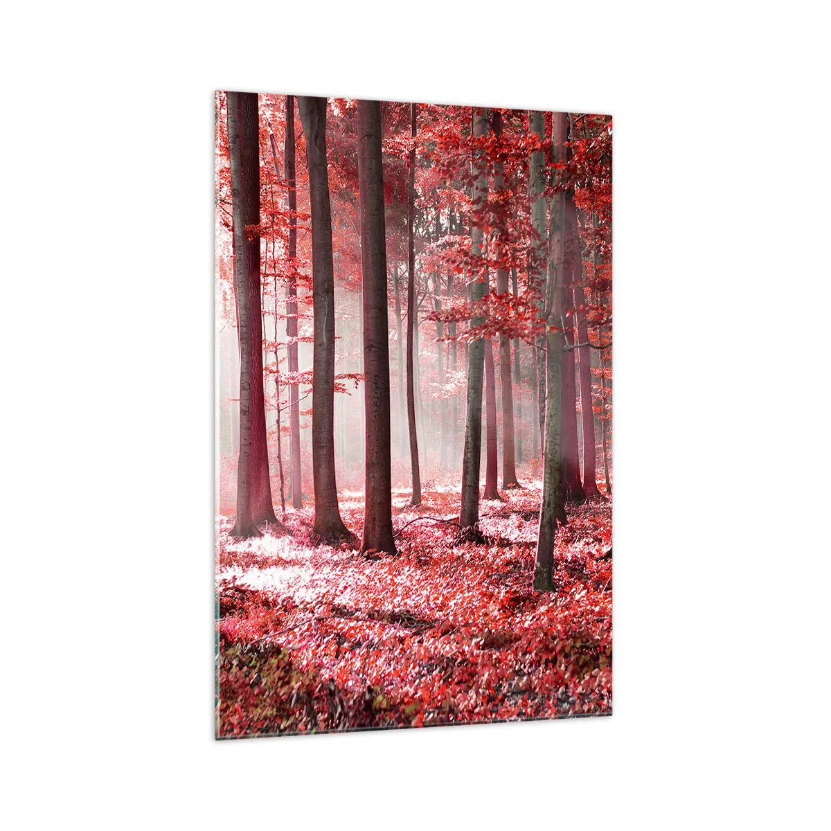 Schilderen op glas - Rood is net zo mooi - 70x100 cm