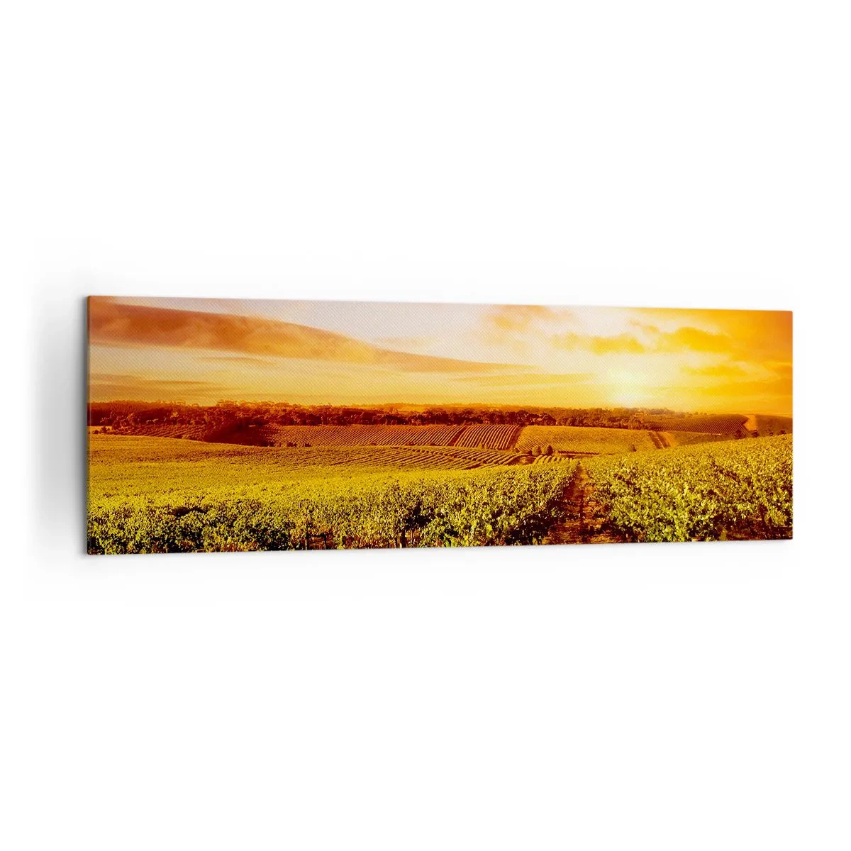 Schilderen op canvas - Licht fruitig met een vleugje zonneschijn - 160x50 cm