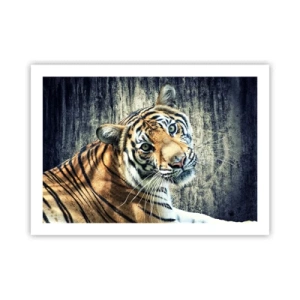 Poster - Portret in stromen van licht - 70x50 cm