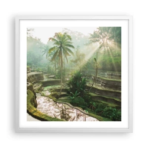 Poster in een witte lijst - Opgroeien in de zon - 50x50 cm