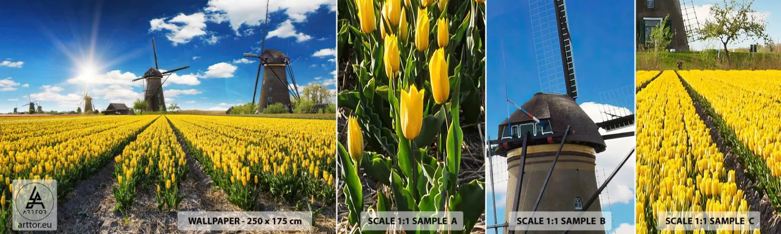 Fotobehang Staaltje Standard Eco - Hollandser kan het niet - Landschap, Fan, Tulpen - 100x30 cm