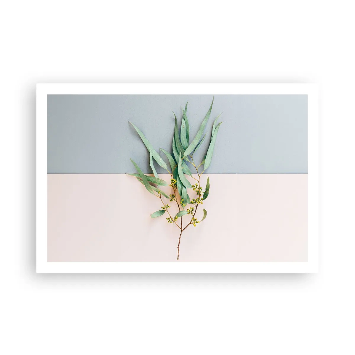 Poster - Subtiliteit in pastelkleuren - 91x61 cm