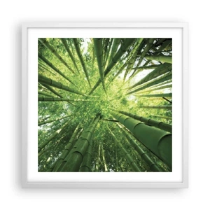 Poster in een witte lijst - In een bamboebos - 50x50 cm
