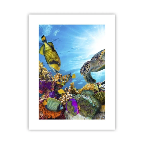 Poster - Koraalpromenade - 30x40 cm