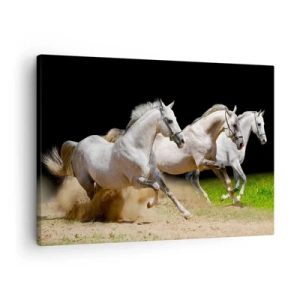 Schilderen op canvas - Drie witte paarden galopperen over zand en gras - 70x50cm - Drie Gratiën - Moderne wanddecoratie voor woonkamer en slaapkamer ARTTOR