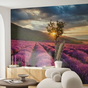 Fotobehang Standard Eco - Lila gekleurd aroma - Landschap, Lavendel, Provence - 250x175 cm