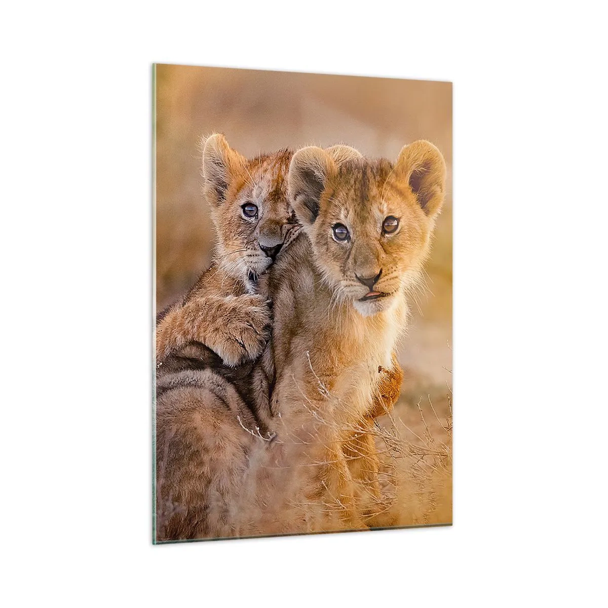 Schilderen op glas - Niet storen! We hebben plezier - 50x70 cm