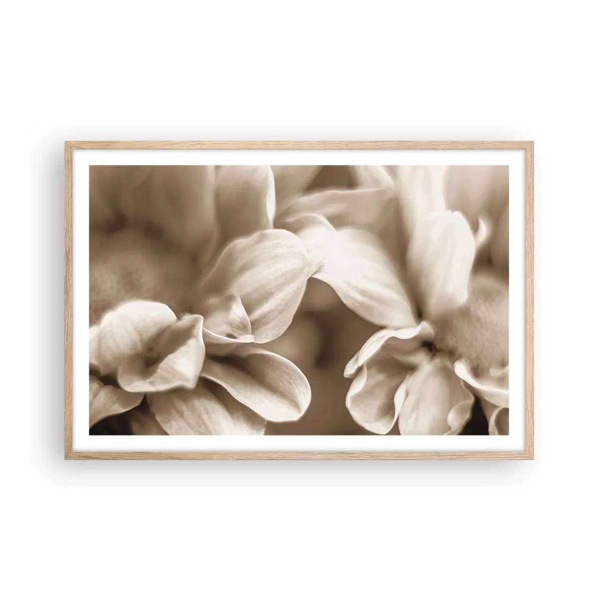 Een poster in een licht eiken lijst - Zo zacht als een glimlach - 91x61 cm