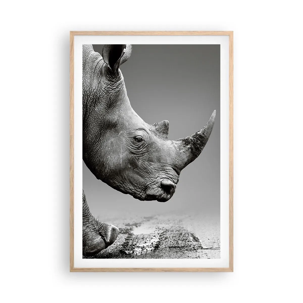 Een poster in een licht eiken lijst - Onstuitbare kracht - 61x91 cm