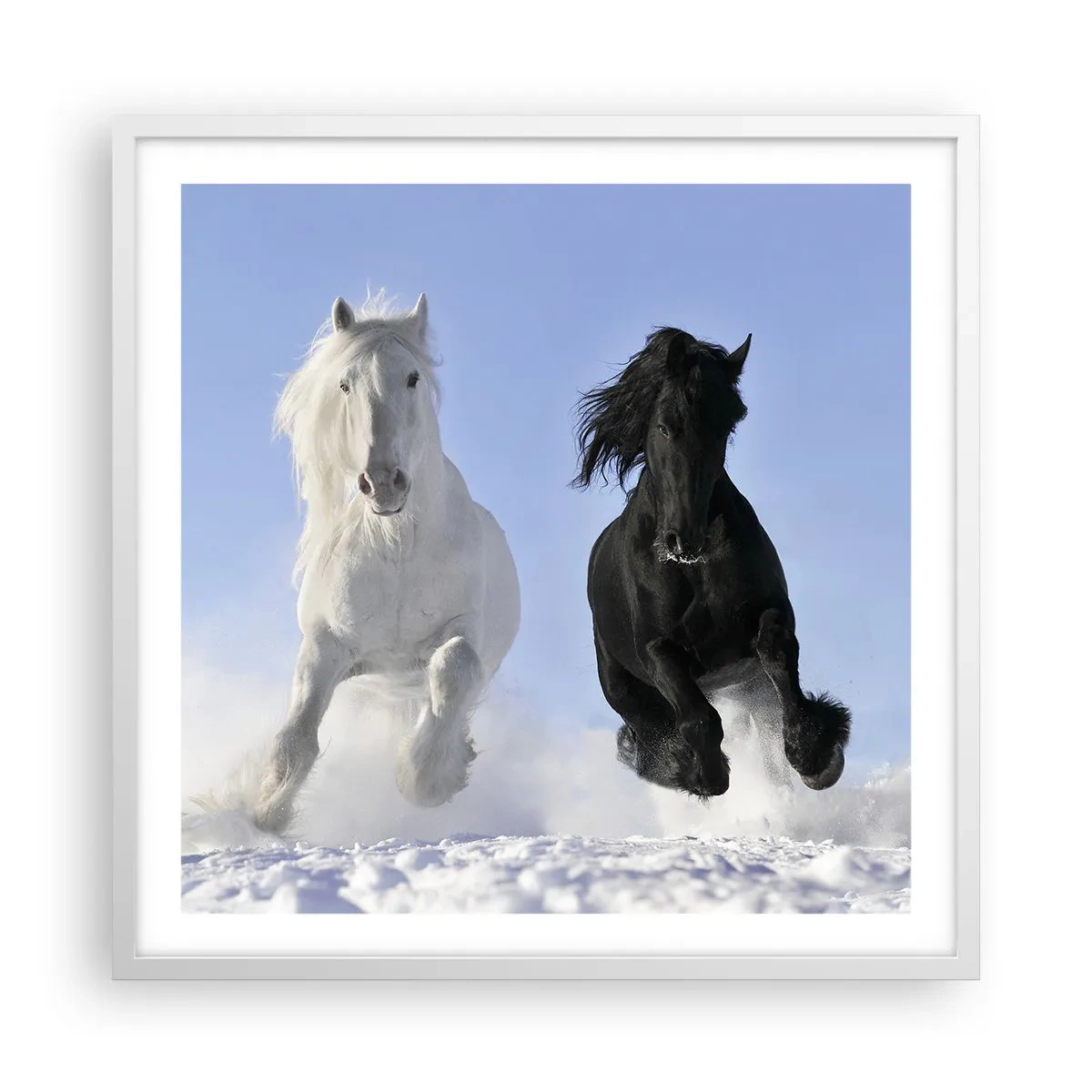 Poster in een witte lijst - Zwart-wit galop - 60x60 cm