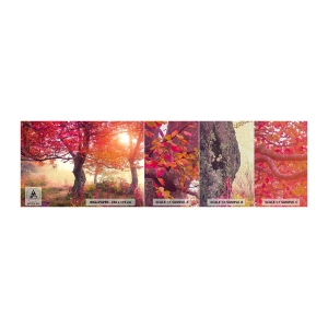 Fotobehang Monster Premium Canvas - Bloeiende razernij - Landschap, Park, Bloemen - 100x30 cm