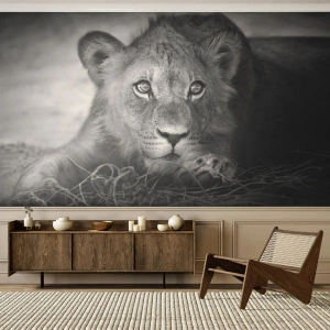 Zelfklevend Fotobehang Deluxe Sticker - Koninklijke puppy - Dieren, Leeuw, Zwart en wit - 100x70 cm