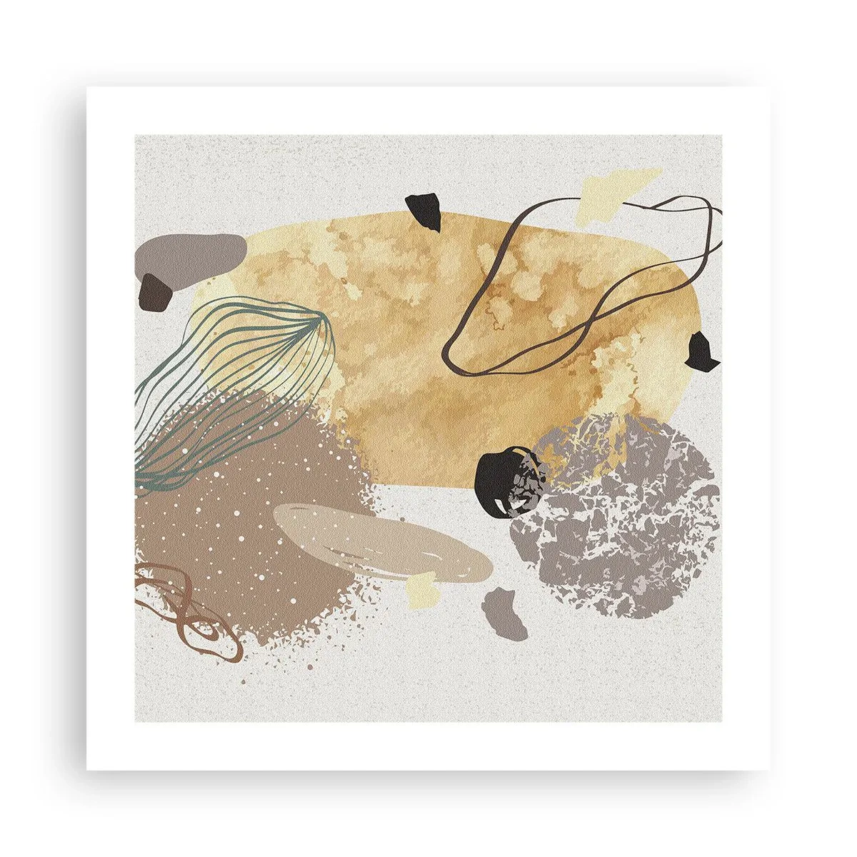 Poster - Toegepaste plumcologie - 50x50 cm