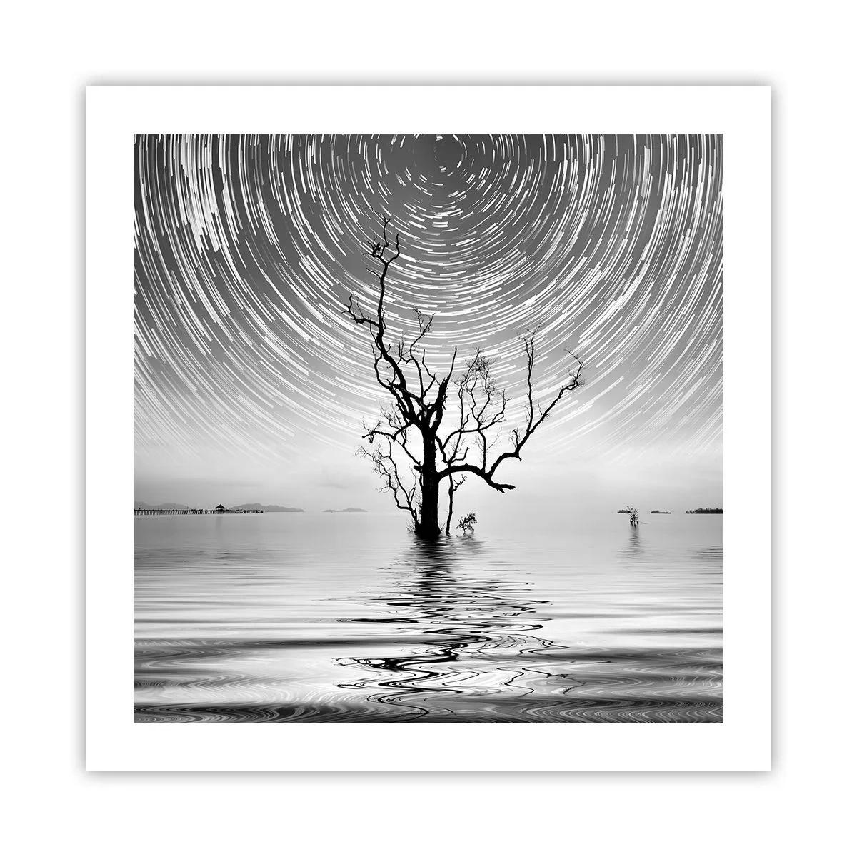 Poster - Een symfonie van de natuur - 50x50 cm