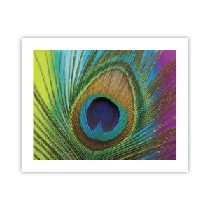 Poster - Oog in oog - 50x40 cm