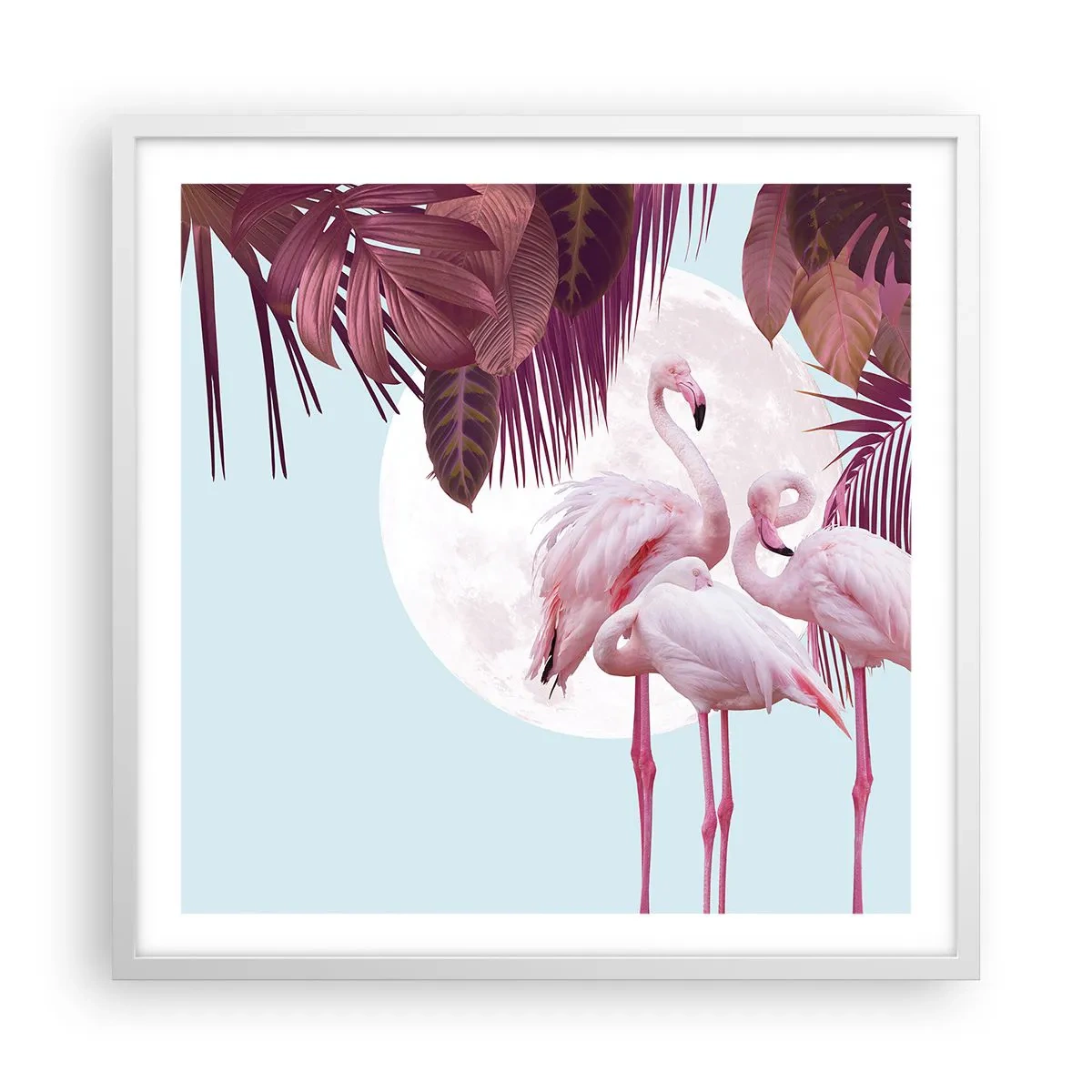 Poster in een witte lijst - Drie vogel genaden - 60x60 cm