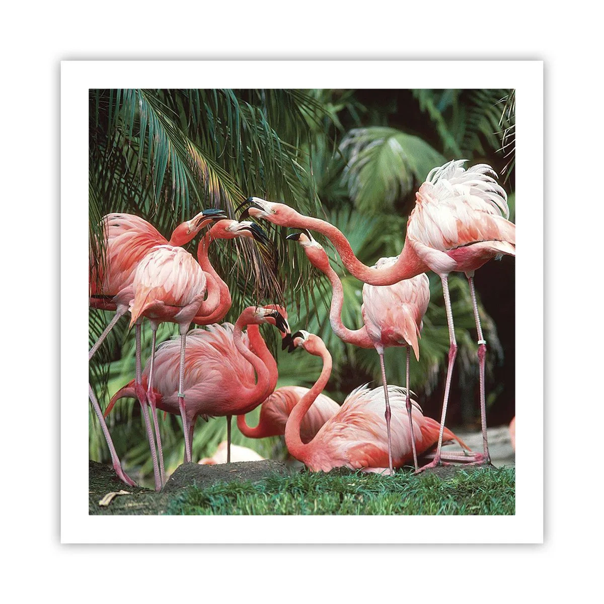 Poster - Middag roddels - 60x60 cm