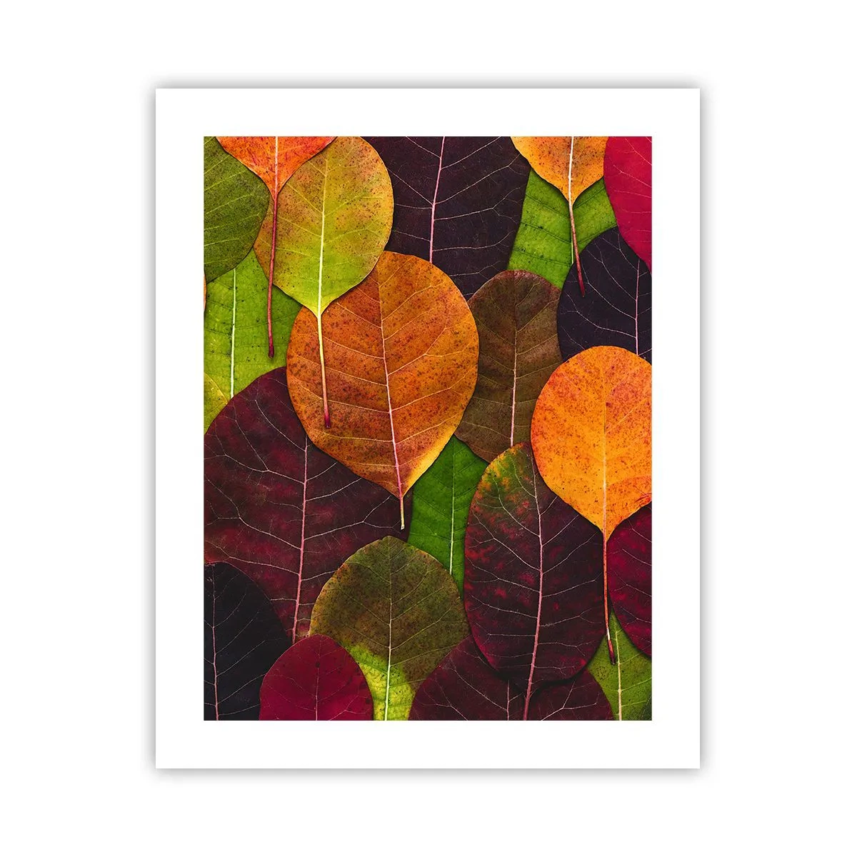 Poster - Herfst mozaïek - 40x50 cm