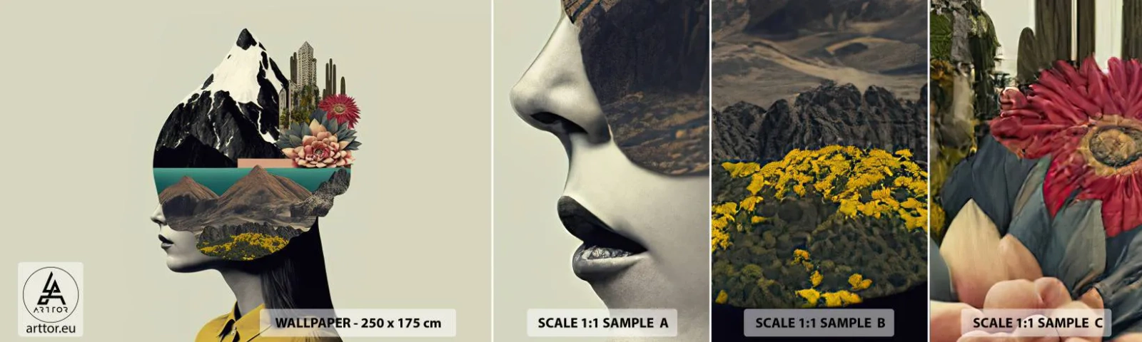 Fotobehang Staaltje Standard Eco - Vrouw – altijd een mysterie - Bergen, Verstand, Hoofd - 100x30 cm