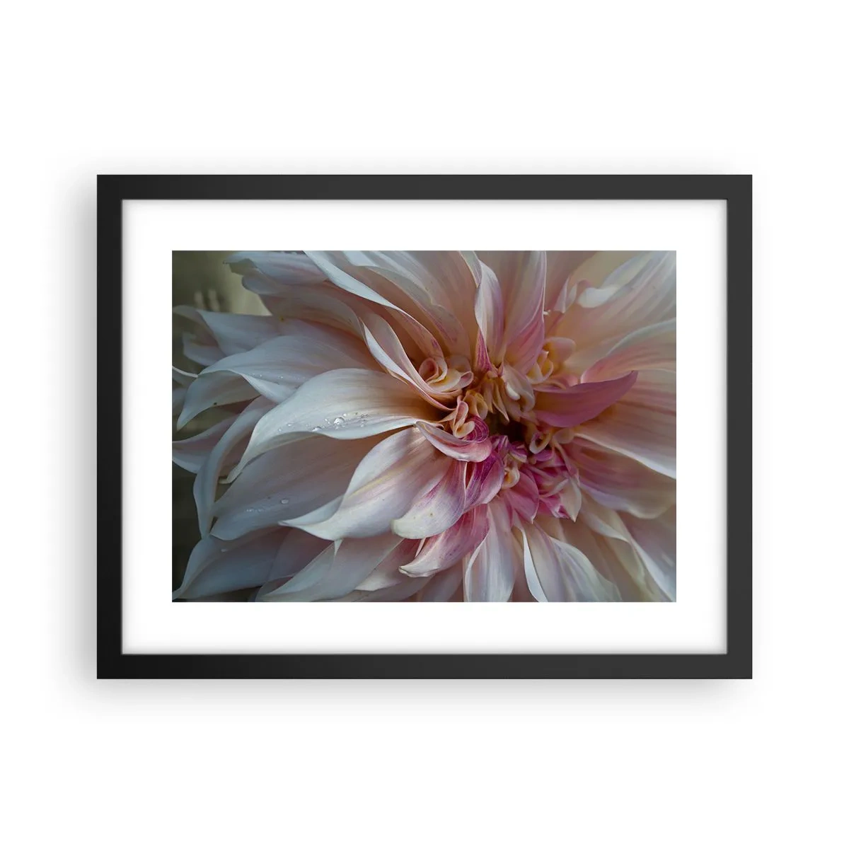 Poster in een zwarte lijst - Bloeiende frisheid - 40x30 cm