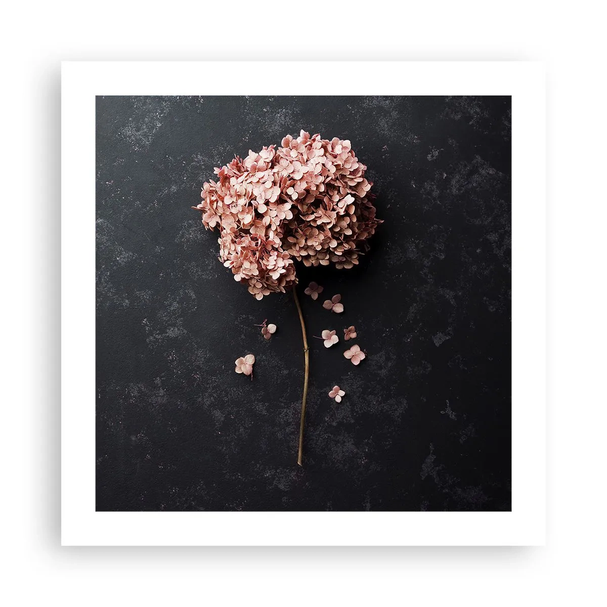 Poster - Een echt romantisch teken - 50x50 cm