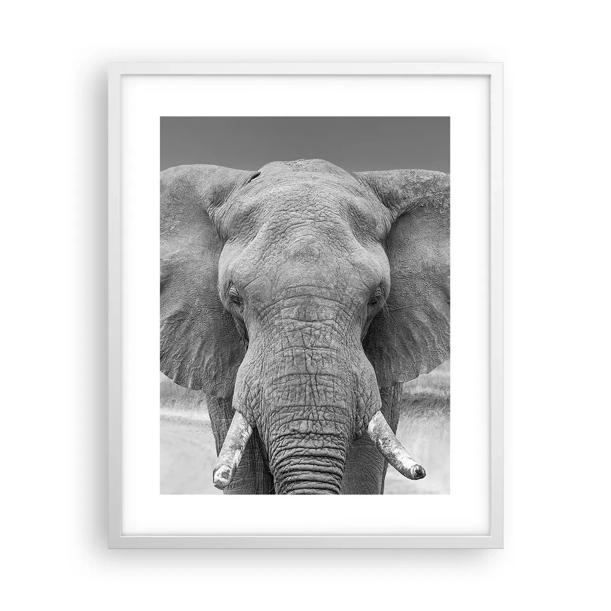 Poster in een witte lijst - Welkom in mijn wereld - 40x50 cm