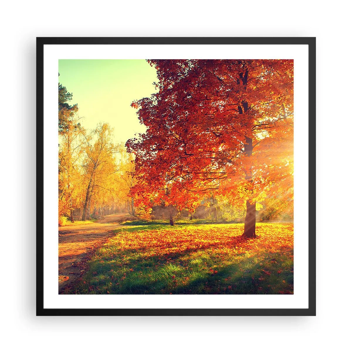 Poster in een zwarte lijst - Rood is mooi - 60x60 cm