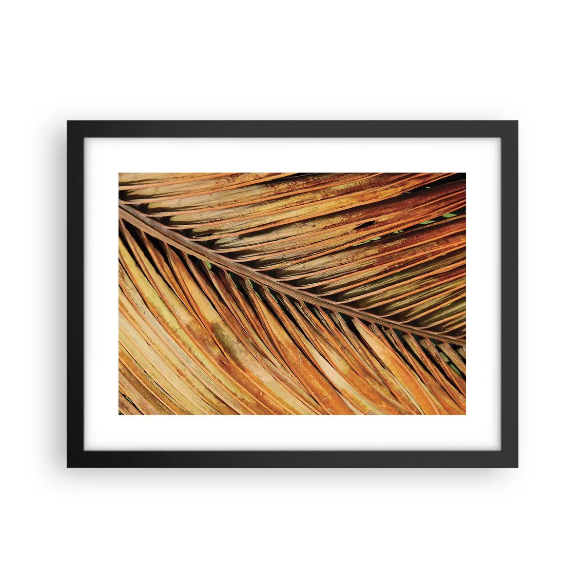 Poster in een zwarte lijst - Kokos goud - 40x30 cm