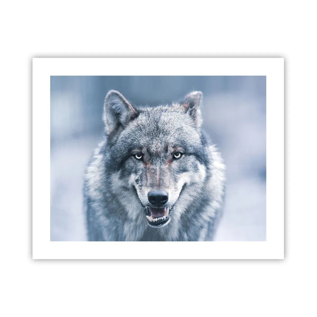 Poster - Ga jij de uitdaging aan? - 50x40 cm