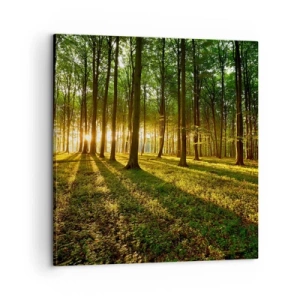 Schilderen op canvas - Foto van de hele lente - 60x60 cm
