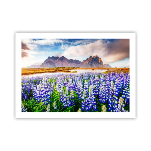 Poster - Kracht en soberheid naast zachtheid - 70x50 cm