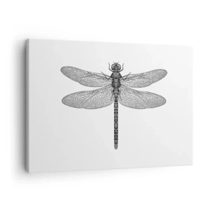 Schilderen op canvas - Zwart-wit tekening van een libel op een witte achtergrond in minimalistische stijl - 70x50cm - Precisie van de natuur - Moderne wanddecoratie voor woonkamer en slaapkamer ARTTOR