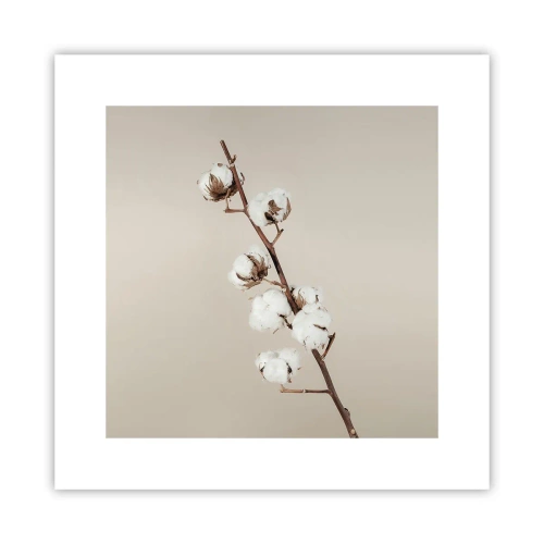 Poster - Aan de bron van zachtheid - 30x30 cm