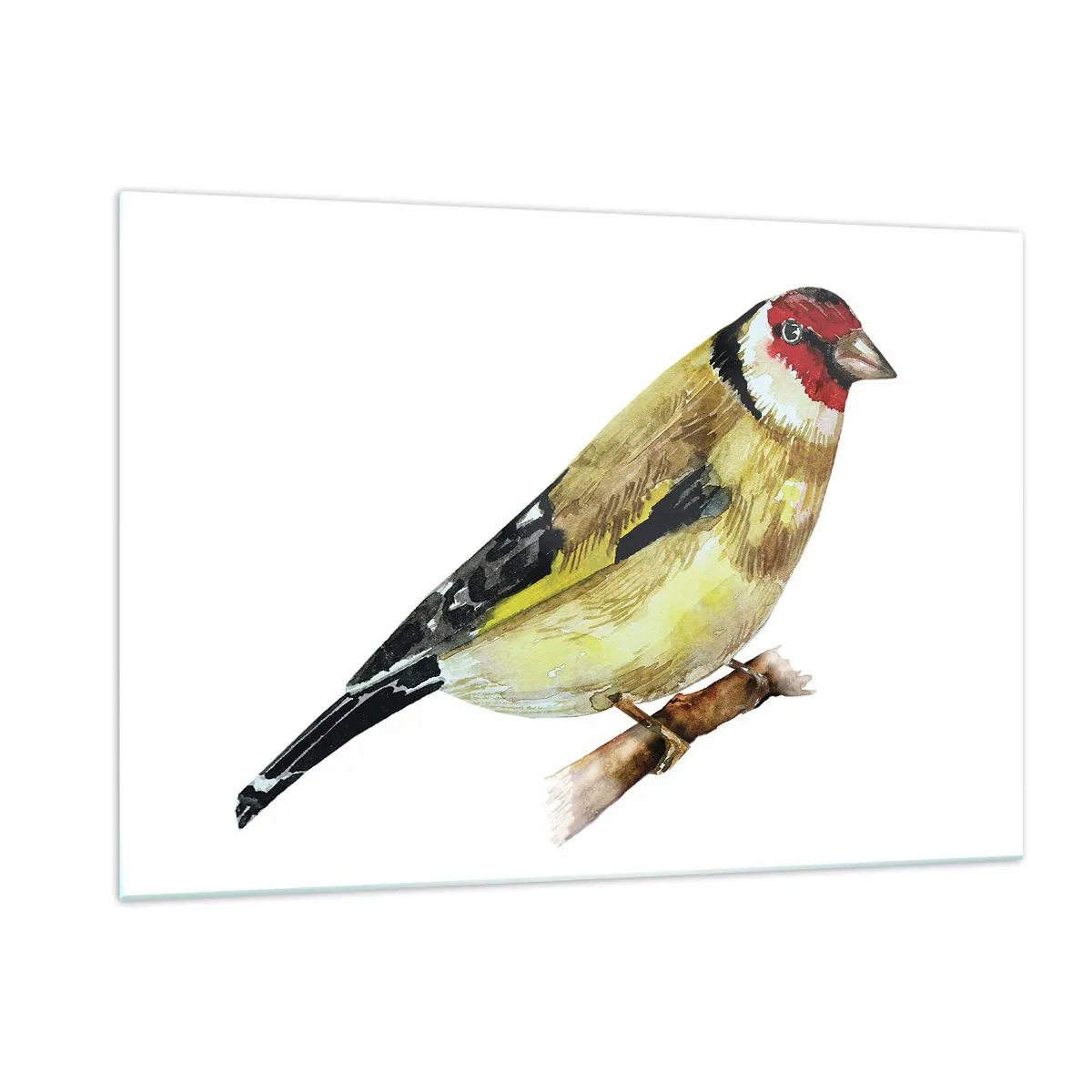 Schilderen op glas - Vogel portret - 120x80 cm