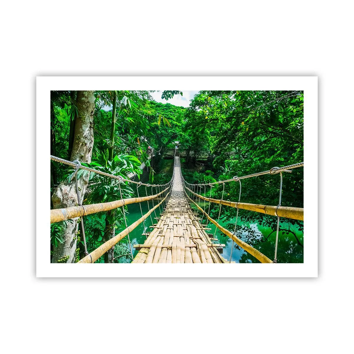 Poster - Apenbrug over de green - 70x50 cm