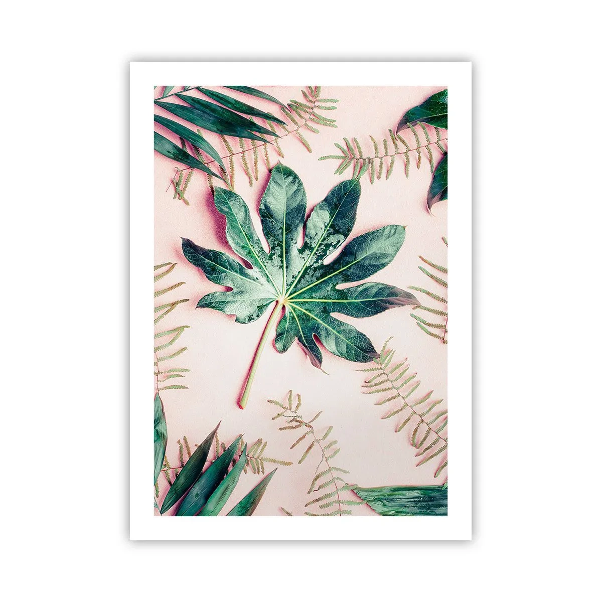 Poster - Een studie van groen op een roze achtergrond - 50x70 cm