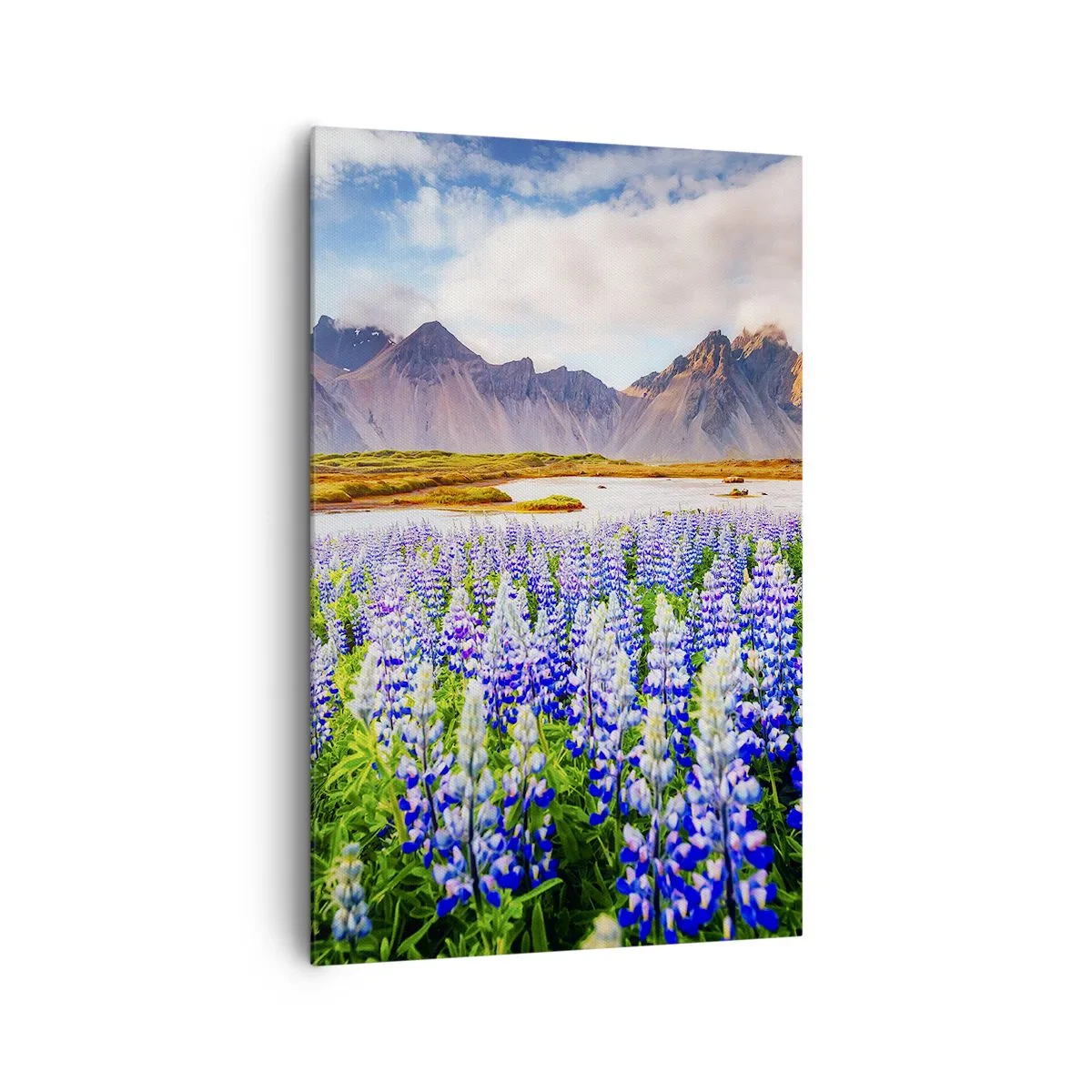 Schilderen op canvas - Kracht en soberheid naast zachtheid - 80x120 cm