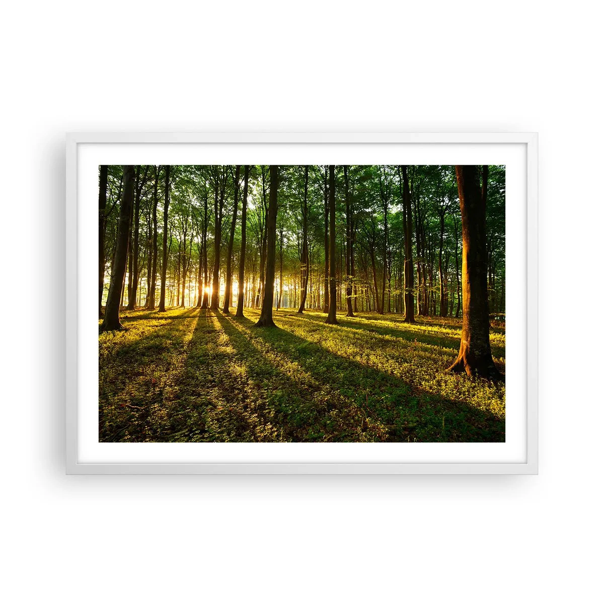 Poster in een witte lijst - Foto van de hele lente - 70x50 cm