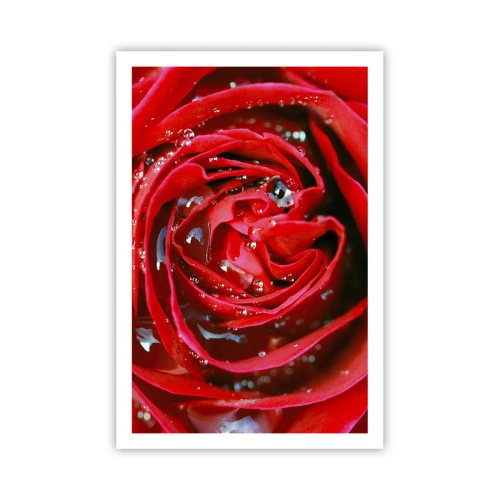 Poster - In de dauwdruppels - 61x91 cm