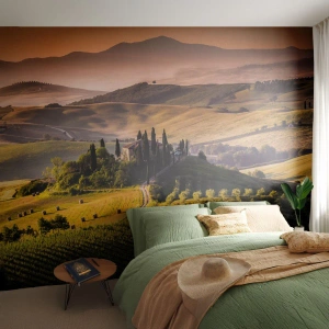 Fotobehang Standard Eco - Arcadia - het Toscaanse landschap - Landschap, Toscane, Wijngaarden - 250x175 cm