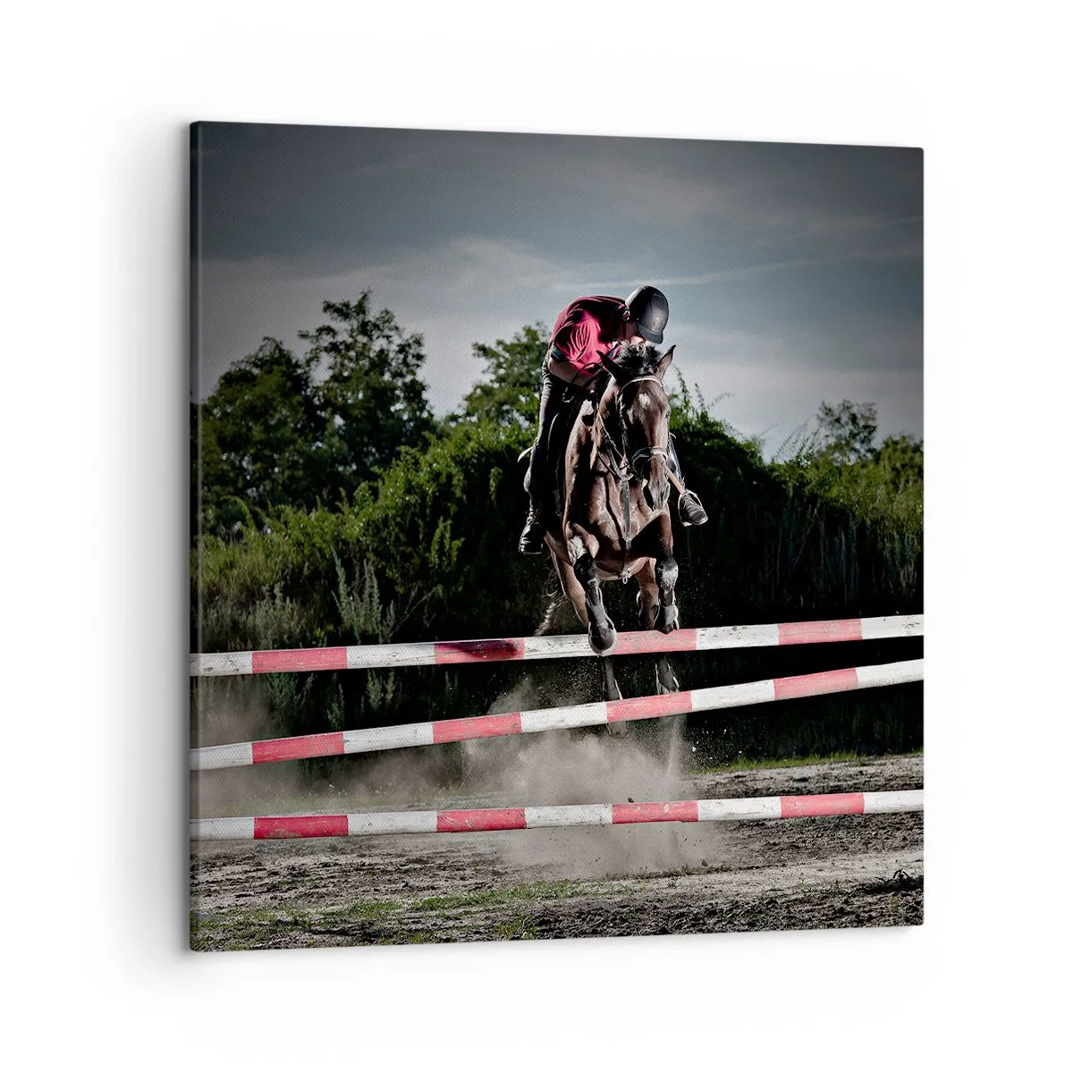 Schilderen op canvas - Samen naar de overwinning - 50x50 cm