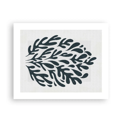 Poster - Vormen van de natuur - 50x40 cm