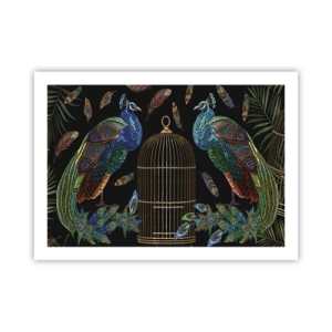 Poster - In koninklijke gewaden - 70x50 cm