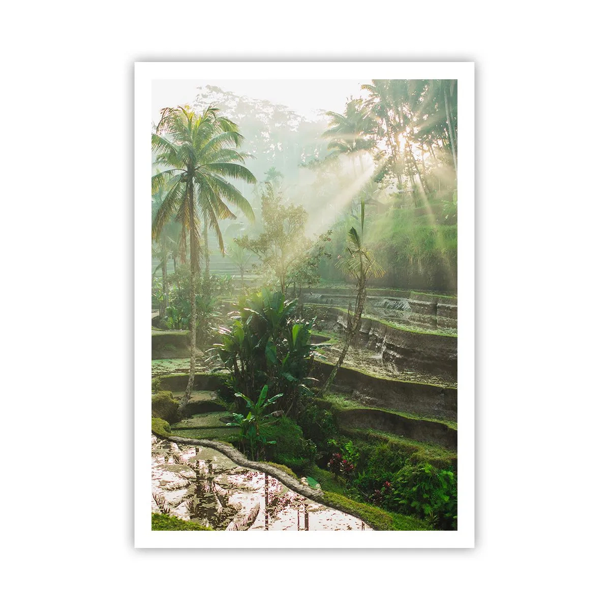 Poster - Opgroeien in de zon - 70x100 cm