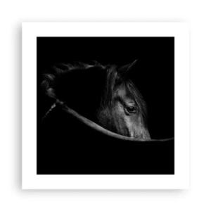Poster - Zwarte Prins - 40x40 cm