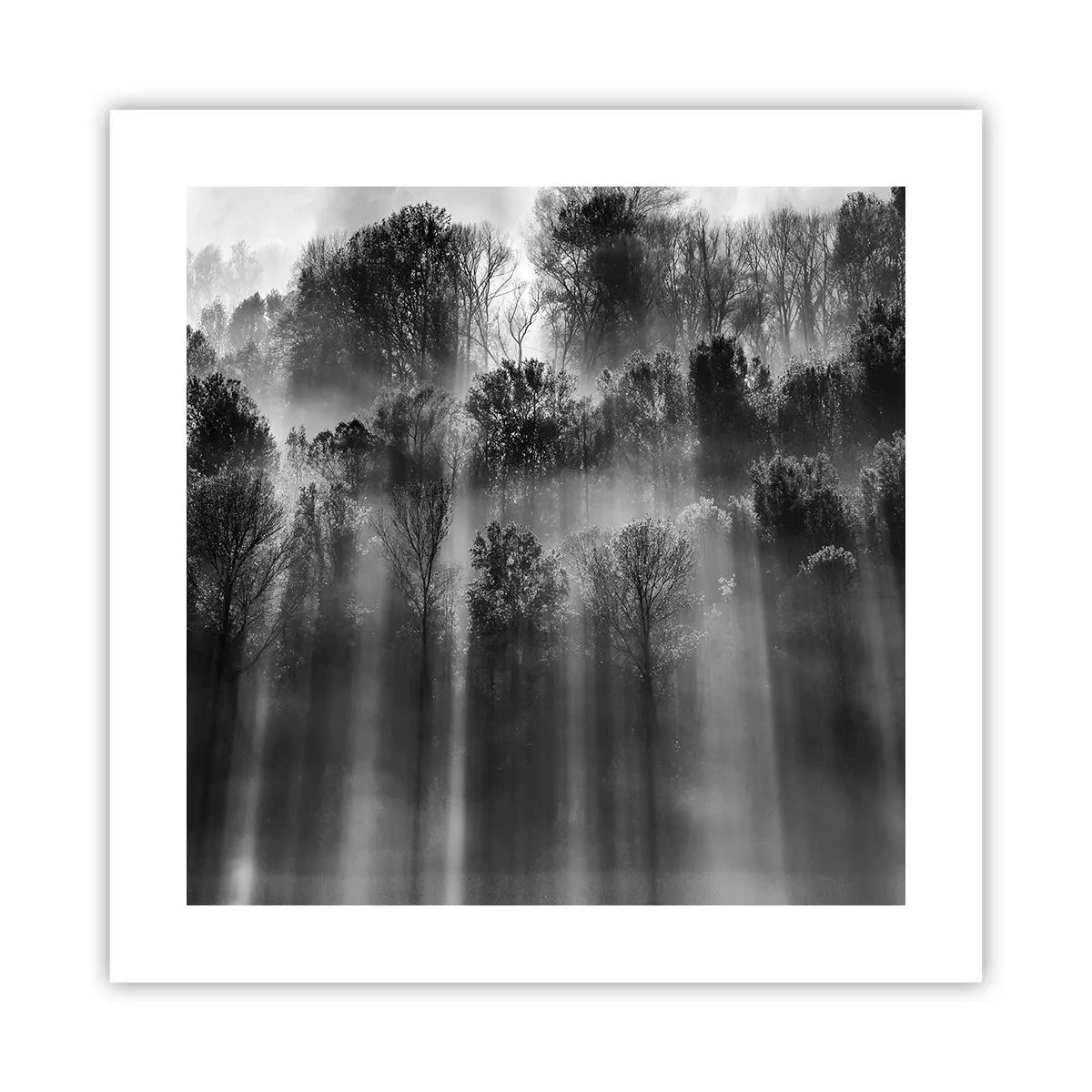 Poster - In stromen van licht - 40x40 cm