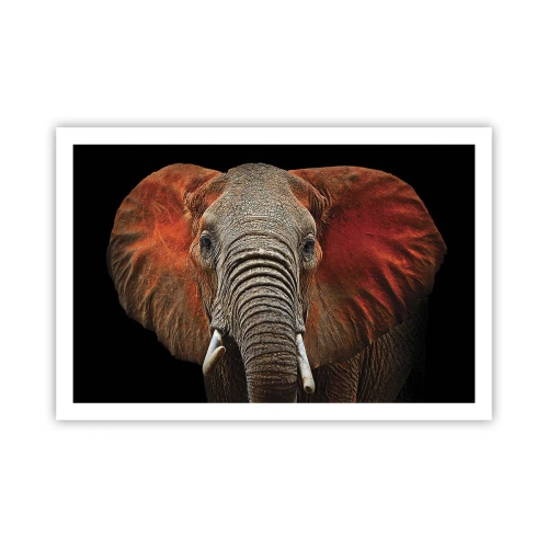 Poster - Ik ben wild, en jij? - 91x61 cm